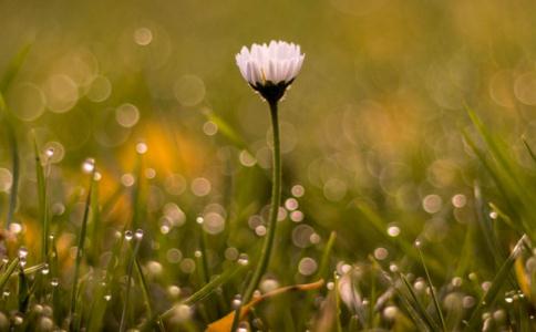 時時刻刻戒嗔心