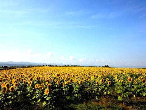 小小的起心動念，就有如此大的善惡果報