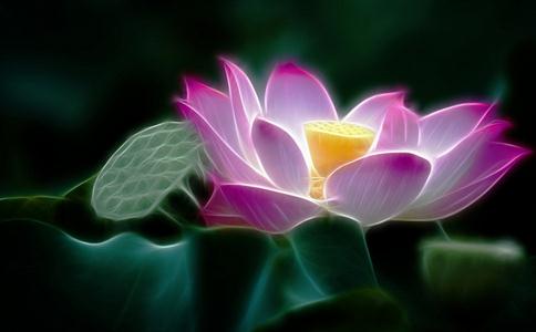 往生時只見蓮花不見佛能到極樂世界嗎？