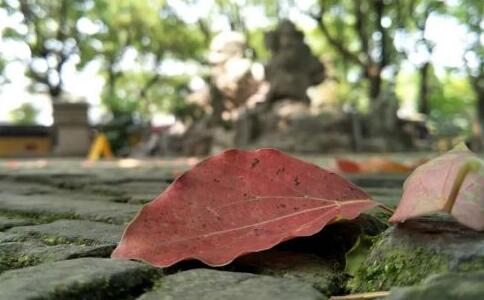 別把學佛當交易