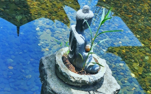 圓果法師的往生瑞相實錄