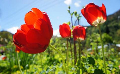 婚姻幸福的秘訣