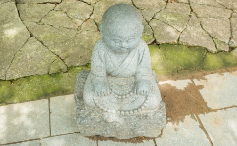 為什麼越念佛心越亂，念佛心靜不下來怎麼辦？