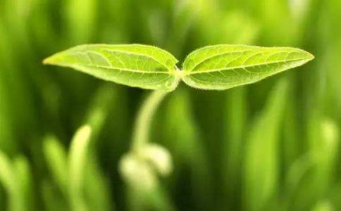 真誠和善良是這個世界的無價之寶