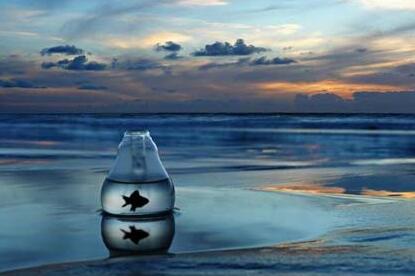 放生具有最強大的加持