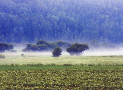 研究國際視野之生態文明理論