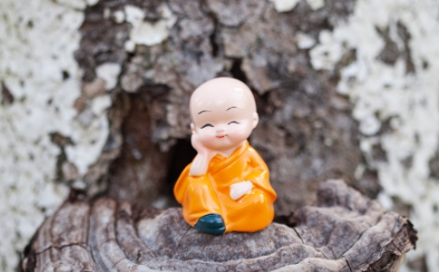 睹境不動難，遇到境界時心能不動才是真修行