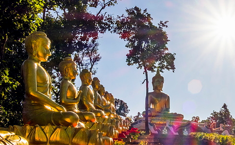 佛教所指的【聖人】是誰？聖人是什麼意思？