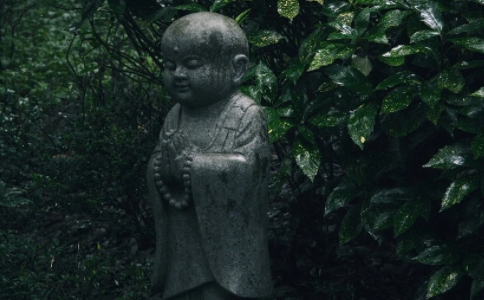 善根指的是什麼？