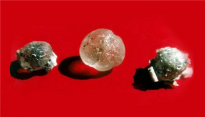 佛祖舍利的歷史由來