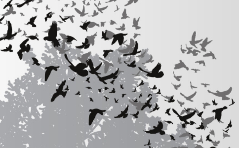 放護生命就是救命