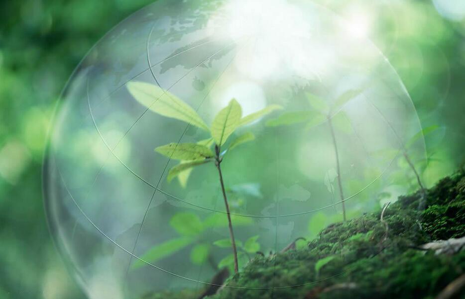 保持生態平衡 遵守自然規律