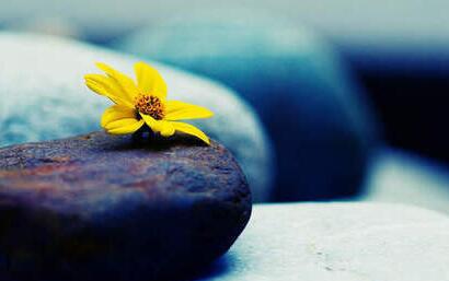 將心比心論放生