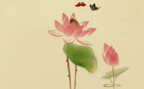 放生要注意四點