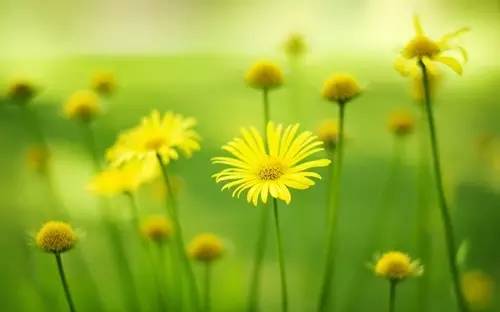 人生的福報與光榮，都是這顆心感召來的