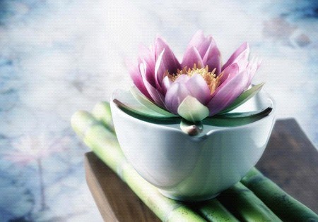 兩個商隊分梯出發，命運卻截然不同